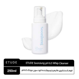 فوم شستشوی ترمیم کننده اتود سون جونگ ETUDE SoonJung