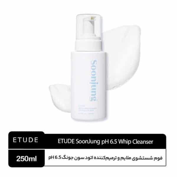 فوم شستشوی ترمیم کننده اتود سون جونگ ETUDE SoonJung